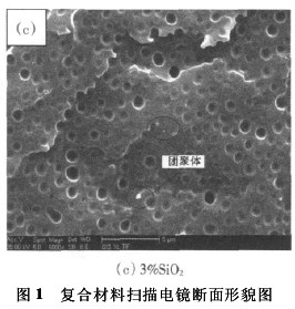二氧化硅改性环氧树脂胶黏剂性能（二）